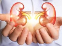 مصرف کدام موادغذایی خطر ابتلا به سرطان کلیه را افزایش می‌دهد؟