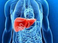 بدن روزانه چه میزان پروتئین نیاز دارد؟