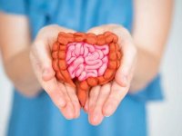 مصرف این ۹ ماده غذایی سلامت روده را تضمین می‌کند