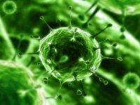 کروناویروس می تواند موجب بیماری آلزایمر شود