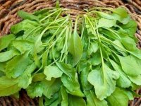 این سبزی خواص ضد سرطان دارد