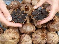 خواص شگفت‌انگیز سیر سیاه را بشناسید