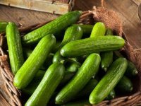 ۸ خاصیت خیار برای سلامت بدن