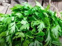 خواص این سبزی؛ از زیبایی پوست و لاغری تا بهبود عملکرد جنسی