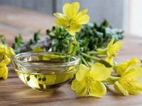 روغن گل مغربی چه فایده‌ای دارد؟
