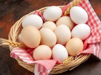 چگونه تخم مرغ خام را در خانه پاستوریزه کنیم؟