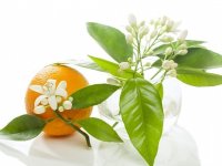این میوه معجزه بهار برای سلامتی است