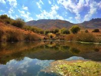 بهترین جاهای خنک ایران برای سفر در تابستان ۱۴۰۴ +عکس