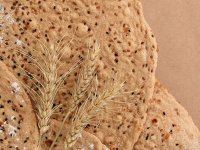 کلید تغذیه سالم به همین سادگی