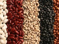 خواص فوق العاده لوبیا برای سلامت بدن