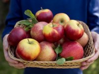 ۱۰ فایده ناشناخته سیب برای سلامتی