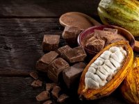 روزانه چقدر کاکائو بخوریم چاق نشویم؟