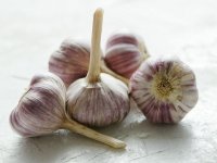 آشنایی با فواید بی‌شمار سیر