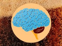 مصرف روزانه نوشابه رژیمی و تاثیر شوکه‌کننده آن بر مغز