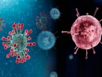 «آنفلوآنزا» در مسیر صعودی؛ ویروسی که پاییز را ملتهب کرد