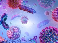 آنفولانزا در صدر ویروس‌های تنفسی ایران قرار گرفت؛ اعلام وضعیت وخیم در ۷ استان