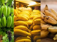 همه آنچه باید درباره رنگ موز بدانیم