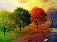 مزاج سرد و خشک پاییز و چالش‌های جسمی و روانی آن