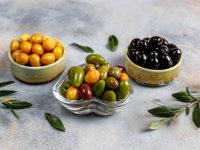 چالش‌های تولید انواع زیتون