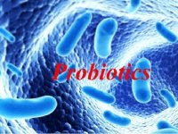 نکاتی درباره پروبیوتیک‌ها
