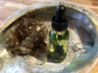 آیا روغن جلبک برای پخت‌و‌پز سالم است؟