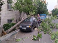 تمهیدات اورژانس در برابر طوفان تهران؛ توصیه‌های مهم به شهروندان