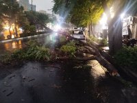 هشدار جدی طوفان در تهران؛ خطر سقوط تابلوها و درختان