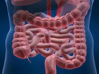 برای سلامتی روده دور این خوراکی‌ها را خط بکشید