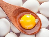 علائم تخم مرغ فاسد را بشناسید