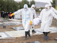 ۲۱۶ فوتی جدید کرونا ؛ شناسایی ۸۶۳۱ بیمار دیگر