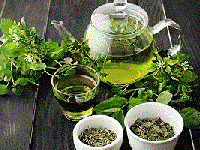 چای سبز برای کرونا خوب است یا بد؟
