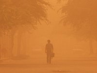 آثار ذرات معلق هوا بر سلامتی و بروز مرگ زودرس