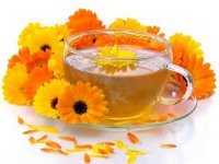 بهترین دمنوش‌های تابستانی را بشناسید
