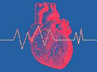 تاکی کاردی را بیشتر بشناسید