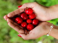 خوراکی های رایجی که می توانند سمی باشند