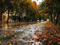 خبری خوش از هوای تهران