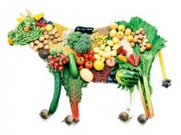 اگر قصد دارید گیاهخوار شوید این مطلب را بخوانید