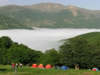 ۵ جنگل ابر رویایی شمال که باید ببینید