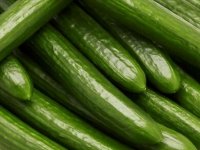 این افراد از خوردن خیار پرهیز کنند