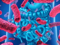 با این رژیم غذایی روده و دستگاه گوارش را پاکسازی کنید