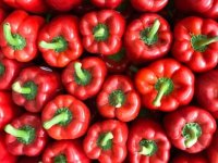 چرا فلفل دلمه ای برگشت خورده از روسیه را در مناطق فقیرنشین فروختید؟