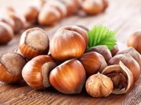 چهار فایده بی‌نظیر فندق