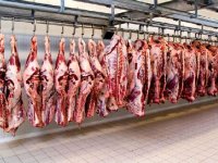 قیمت انواع گوشت منجمد در میادین میوه و تره بار تهران اعلام شد