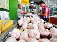 جدیدترین قیمت مرغ در بازار تهران