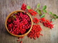 گیاهی خوش رنگ و طعم برای پاکسازی ریه