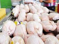 قیمت مرغ دوباره گران شد