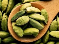 گیاه معطر پرخاصیت برای درمان مشکلات گوارشی