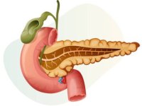 علایمی که نشان می‌دهد لوزالمعده‌تان بیمار است