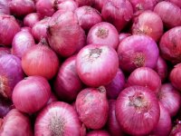 یک فایده پیاز که احتمالا نشنیده‌اید