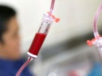 آمار جدید وزارت بهداشت از تعداد مبتلایان به تالاسمی در کشور؛ اغلب موارد جدید در این استان هستند